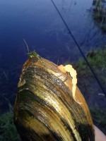 /album/fotogalereya/a20160417-190220-jpg/